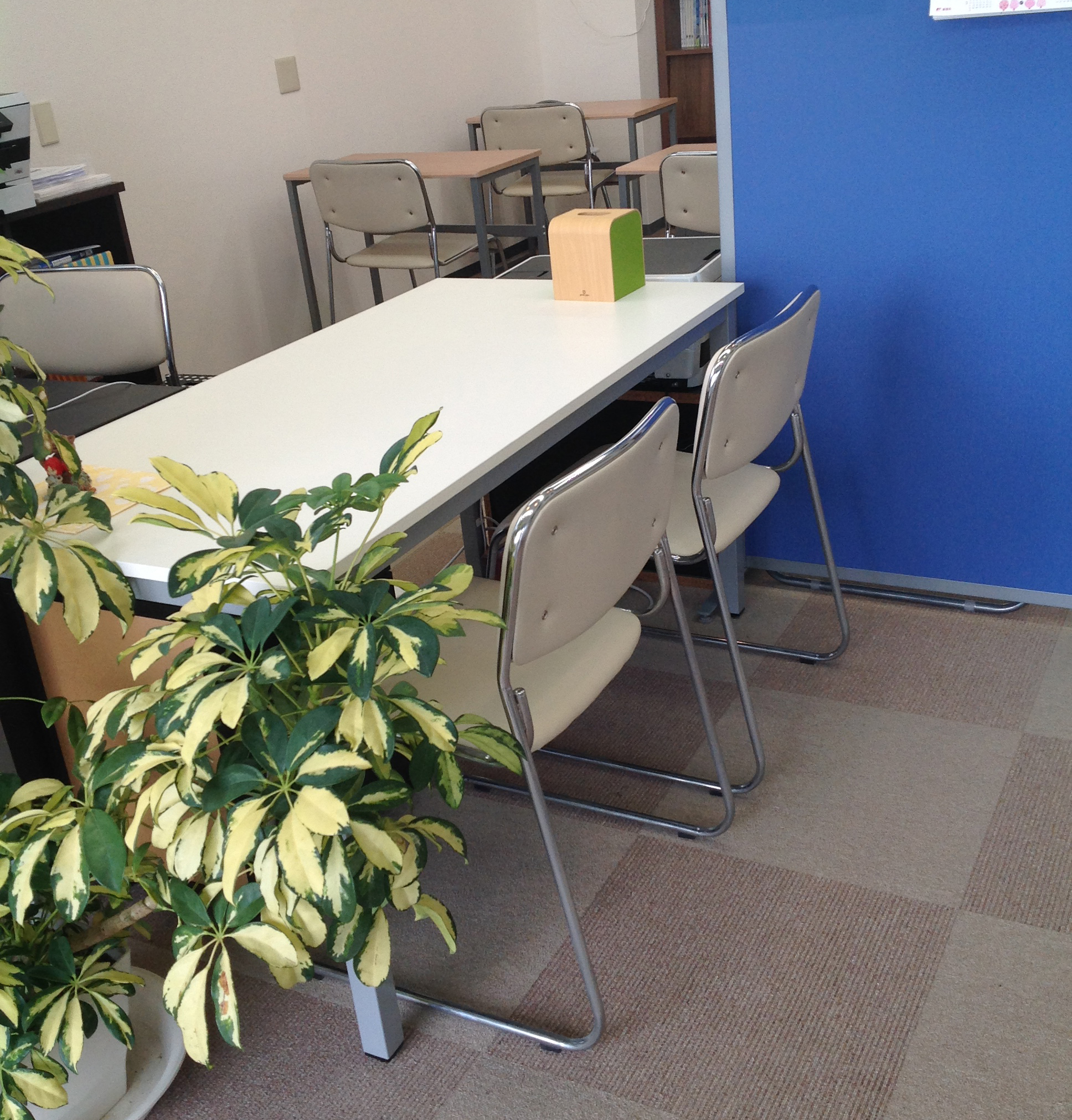 2019春期講習の案内